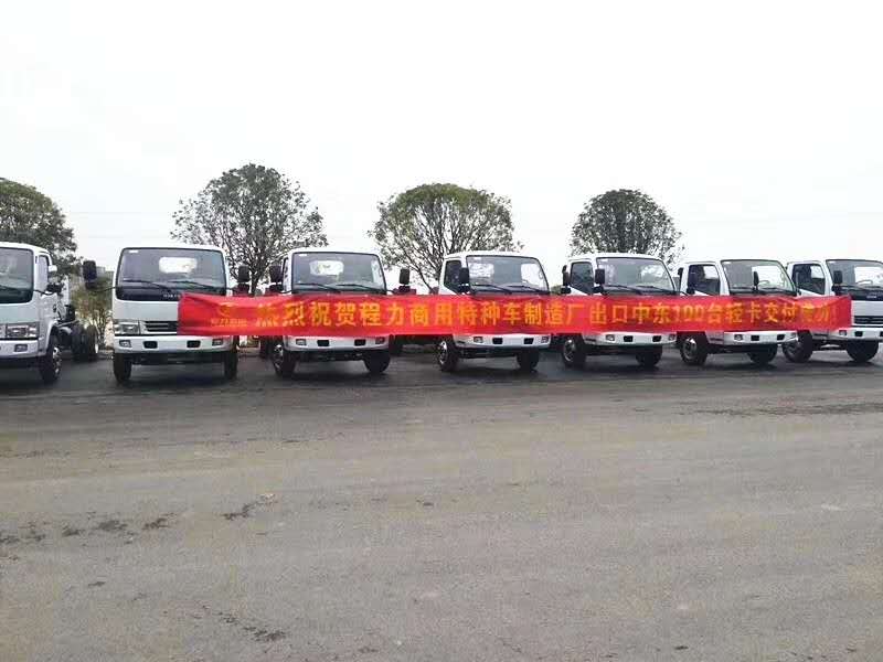 尊龙凯时汽车100台轻卡出口中东国家项目展示